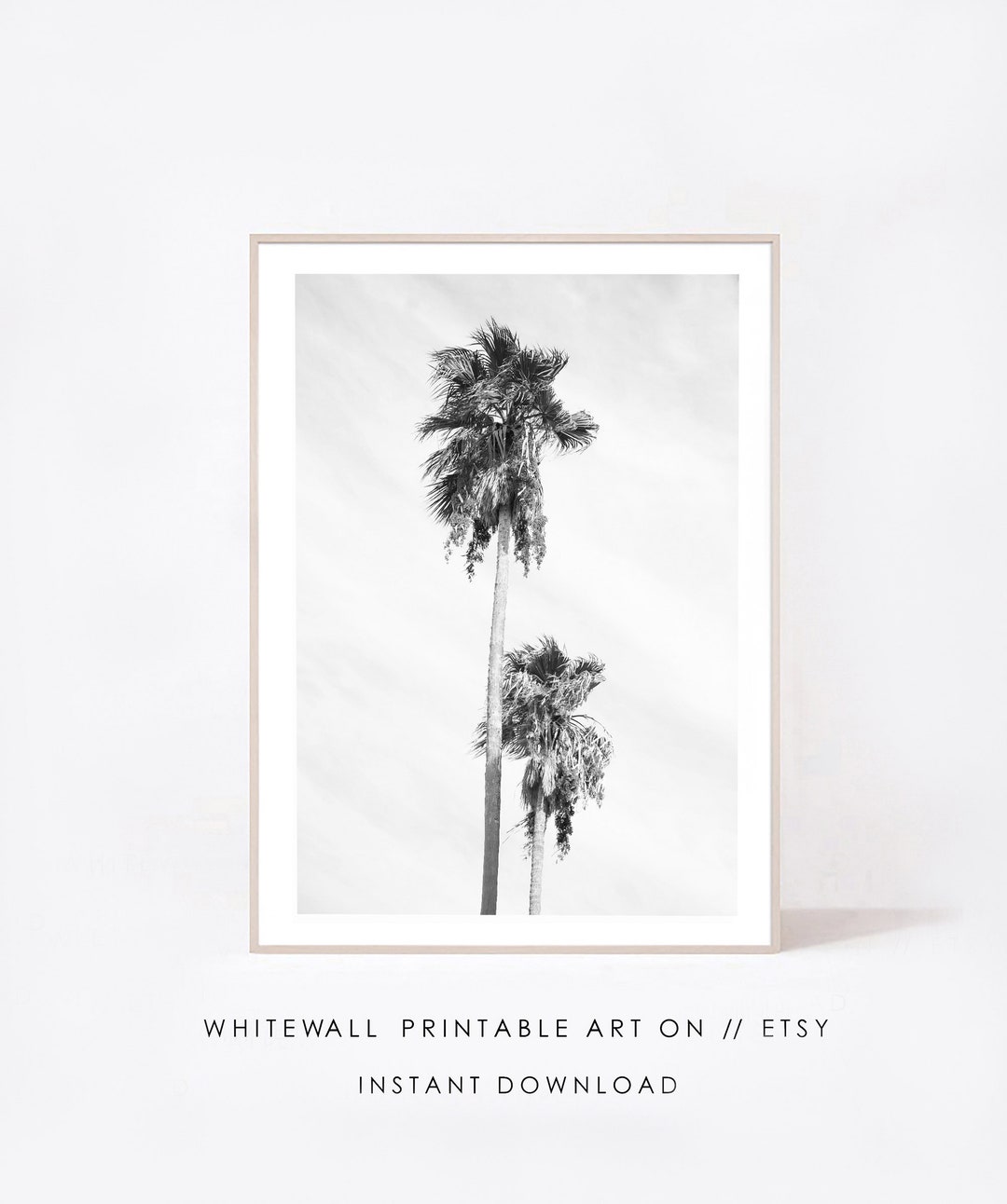 Black and White Palm Tree Print, Tropical Photography (digital Download ...