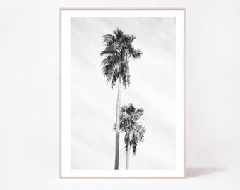 Black and White Palm Tree Print, Tropical Photography (Digital Download)