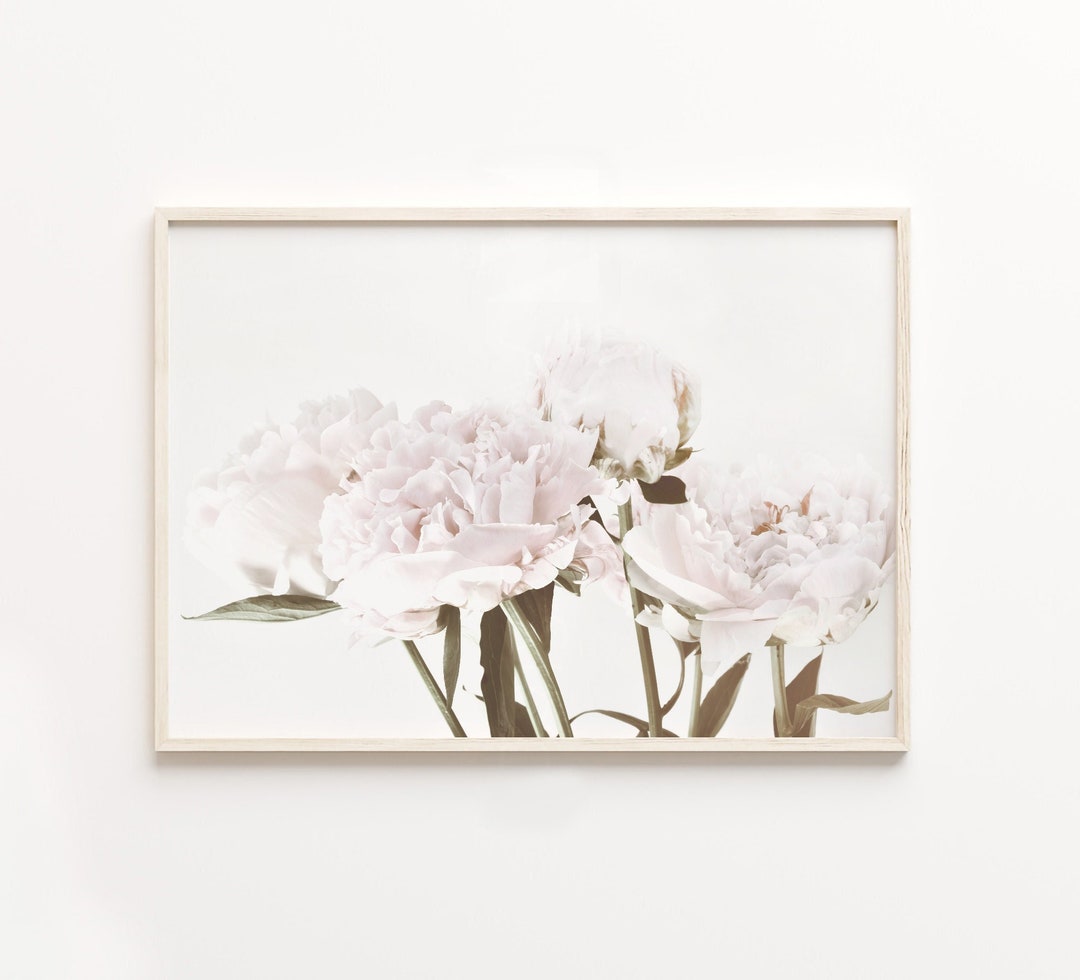 White and Pink Peony Flower Print, Botanical Wall Art (digital Download ...