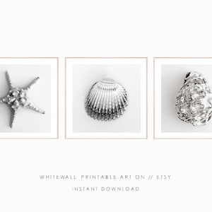 Seashell Print Set of 3, Coastal Wall Art,Nautical Wall Art,Printable Wall Art Prints,Nautical Prints, Beach Decor,Sea poster,Digital print
