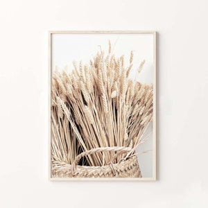 May include: A close-up of a woven basket filled with dried wheat stalks. The basket is made of natural materials and has a rustic, earthy feel. The wheat stalks are a light beige color and are arranged in a loose, organic pattern.
