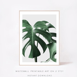 Monstera Print, Green Leaves Print, Leaf Wall Art, Monstera Leaf Print, Tropical Leaf Prints, Plant Print, Monstera Poster Monstera Wall Art