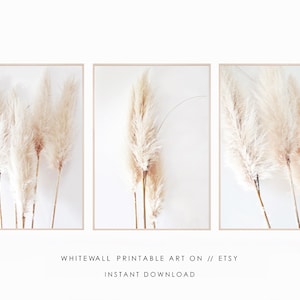 Set of 3 prints,Pampas Grass Decor Print, Printable Wall Art,Pampas Printable,Beach Costal Style,Dried Grass,Plant Photography,Large Poster