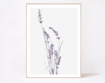 Lavender Botanical Print, Farmhouse Wall Art (Digital Download)