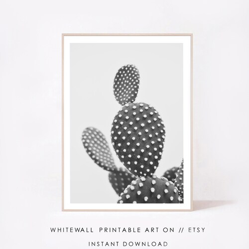 Black and White Cactus Print Minimalist Wall Art Succulent Etsy