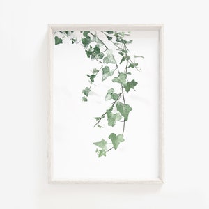 Ivy print,Green leaves print, Botanical Wall Art,Ivy Poster,Ivy plant printable, Branches Print, Plant print,Ivy Photo, leaf wall art