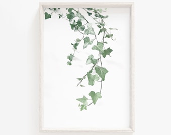Green Ivy Botanical Print, Leaf Wall Art (Digital Download)