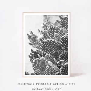 Schwarz-Weiß Kaktus Poster, Wüste Wandkunst, Kaktus Poster, Sukkulente Wanddekoration, Kaktus Wandkunst, Sofortiger Download druckbare Kunst, Foto