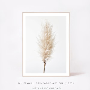 Pampas Print,Pampas Grass Decor Print,Printable Wall Art,Pampas Printable, Beach Costal Style,Dried Grass,Reeds,Pampas digital download,Jpg