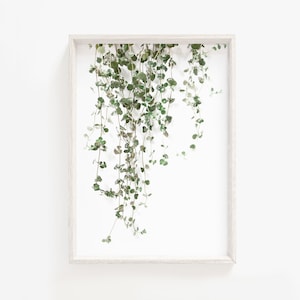 Plant print,green leaves print,ivy print,botanical print,botanical wall art,Modern Botanical,Plant Poster,Digital Download,Leaf Wall Art
