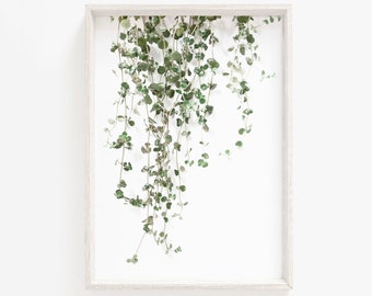 Plant print,green leaves print,ivy print,botanical print,botanical wall art,Modern Botanical,Plant Poster,Digital Download,Leaf Wall Art