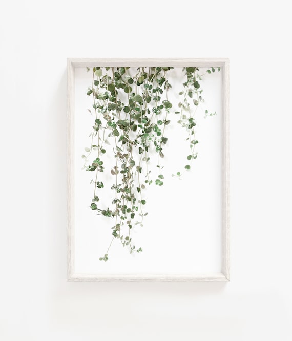 Efeu Druck, Grüne Blätter Botanische Wand Kunst (Digitaler Download)