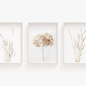 Set of 3 prints,Pampas Grass Decor Print, Printable Wall Art,Pampas Printable,Beach Costal Style,Dried Grass,Plant Photography,Large Poster