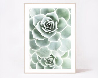 Succulent Art Print, Botanical Wall Decor (Digital Print)