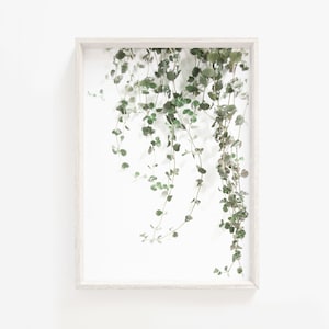 Plant print,green leaves print,ivy print,botanical print,botanical wall art,Modern Botanical,Plant Poster,Digital Download,Leaf Wall Art