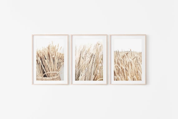 Farmhouse Prints,set of 3 prints,Digital print,Rustic Wall Decor,Wheat Wall Art,Farm Wall Art,Neutral Wall Art,Botanical Prints,Beige Prints