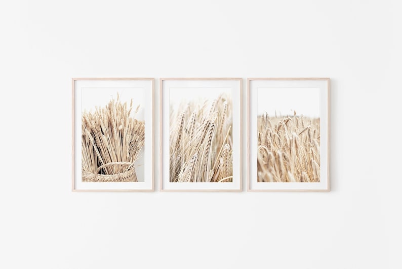 May include: Three framed prints of wheat stalks in a field. The left print shows a close-up of wheat stalks in a basket. The middle print shows a field of wheat stalks. The right print shows a field of wheat stalks.