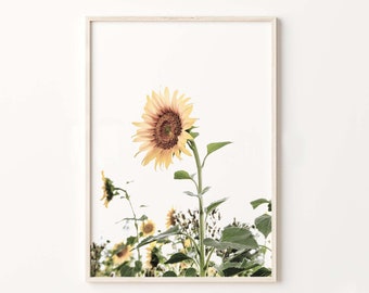 Sunflower Field Print, Farmhouse Wall Art (Digital Download)