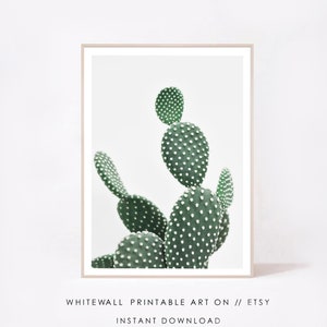 Kaktus Print, Wüste Wandkunst, Kaktus Poster, Sukkulenten Wanddekor, Kaktus Wandkunst, Sofortiger Download, druckbare Kunst, druckbare Kaktus, Foto