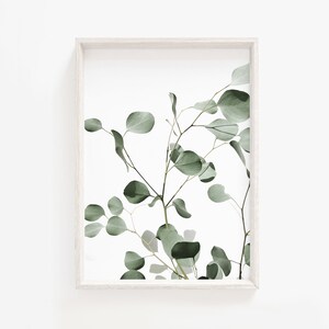 Eucalyptus Print, Botanical Art Prints, Botanical Wall Art, Eucalyptus Art Print, Eucalyptus Wall Art,Eucalyptus Leaves, Botanical Poster
