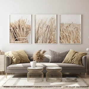 May include: Three framed prints of wheat stalks in a field. The prints are in a living room setting with a gray sofa, two gold side tables, and a vase of dried pampas grass.