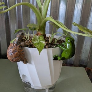 Frog / Turtle Flower Pot Hugger Figurines, Miniature,Dark Green, Plant Accessory, Fairy Garden Accessories, Mini Figure, Decorative Hanger