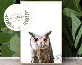 OWL Print, Owl Nursery Wall Art, Owl Printable, Owl Woodland Animal Art Print, Nursery Decor Animal Prints, Printable animal