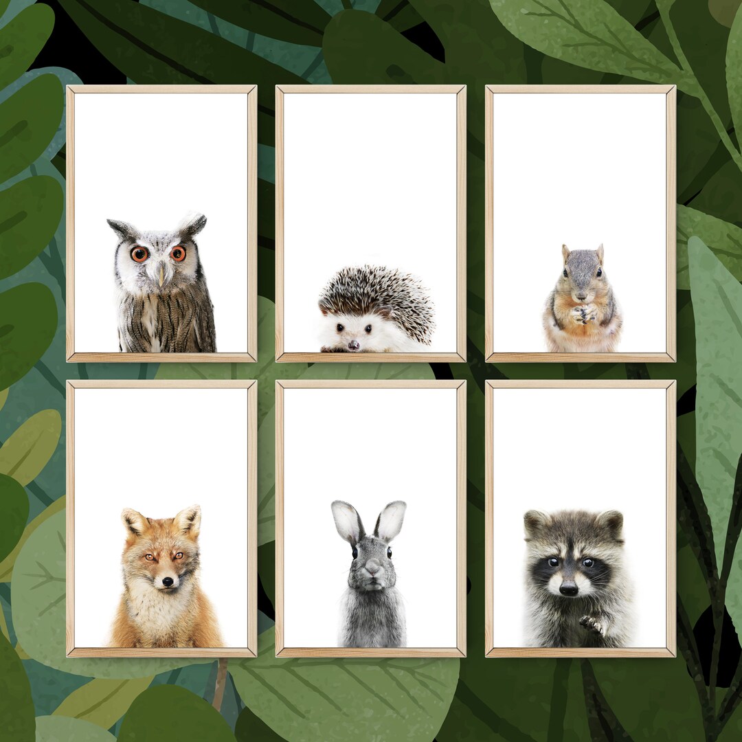 Set of 6 Woodland Animal Prints, Animal Nursery Wall Art, Forest ...