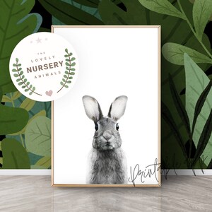RABBIT Print, Rabbit Nursery Wall Art, Hare Rabbit Printable, Hare Woodland Animal Art Print, Nursery Decor Animal Prints, Printable animal