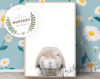 BABY RABBIT Print, Rabbit Nursery Wall Art, Rabbit Printable, Rabbit Farm Animal Art Print, Nursery Decor Animal Prints, Printable animal