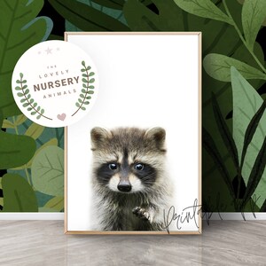 Raccoon Print, Raccoon Nursery Wall Art, Raccoon Printable, Raccoon Woodland Animal Art Print, Nursery Decor Animal Prints, Animali stampabili