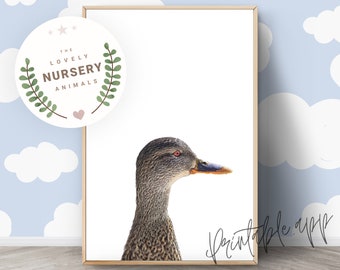 DUCK Print, Duck Nursery Wall Art, Duck Printable, Duck Bird Animal Art Print, Nursery Decor Animal Prints, Printable animal