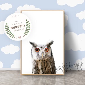 OWL Print, Owl Nursery Wall Art, Owl Printable, Owl Woodland Animal Art Print, Nursery Decor Animal Prints, Printable animal