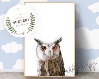 OWL Print, Owl Nursery Wall Art, Owl Printable, Owl Woodland Animal Art Print, Nursery Decor Animal Prints, Printable animal
