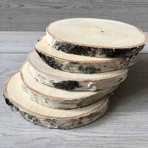 5 PCS 8&quot; inches Birch Slice | Wooden slices | Rustic Wood Slices For DIY | Birch Tree | Birch Wooden Discs | Wedding Decoration | Weddings