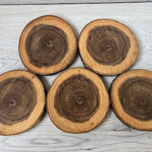 5 PCS 5&quot;inches Apple Tree Wooden Slices | Rustic Wood Slices For DIY | Apple Tree | Wood Discs For Craft | Wood Slices For Table Decor