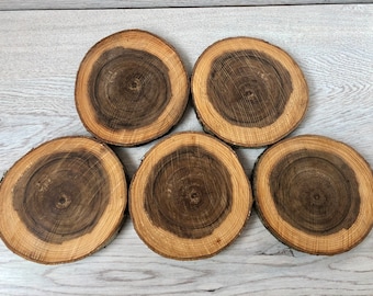 5 PCS 5"inches Apple Tree Wooden Slices | Rustic Wood Slices For DIY | Apple Tree | Wood Discs For Craft | Wood Slices For Table Decor