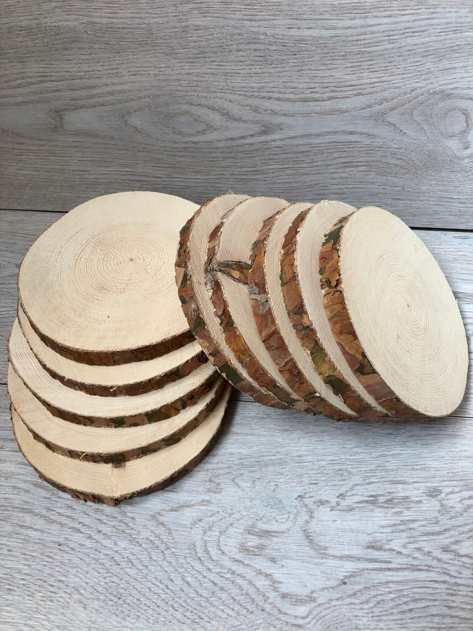 10 PCS 6 inches Pine Slices Wooden Slices Rustic Wood Slices for DIY Wood Wood Discs for Craft