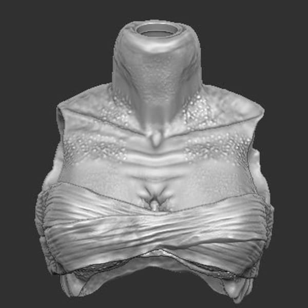 Fugitive Female Predator Torso Top Wraps
