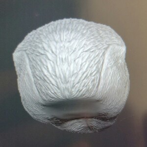 Angry Honey Badger Headsculpt