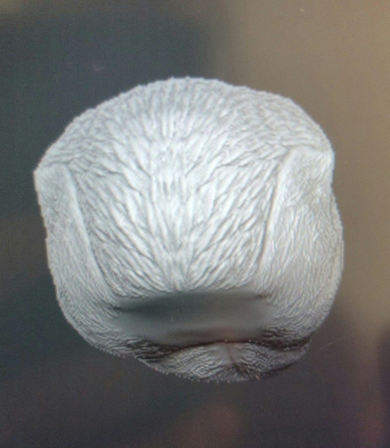 Angry Honey Badger Headsculpt