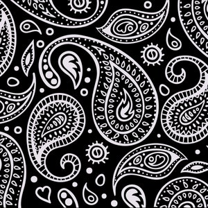 May include: A black and white paisley pattern. The design features intricate, stylized teardrop shapes, swirls, and floral elements. The repeating pattern is a classic textile design, often used for bandanas and fabric.