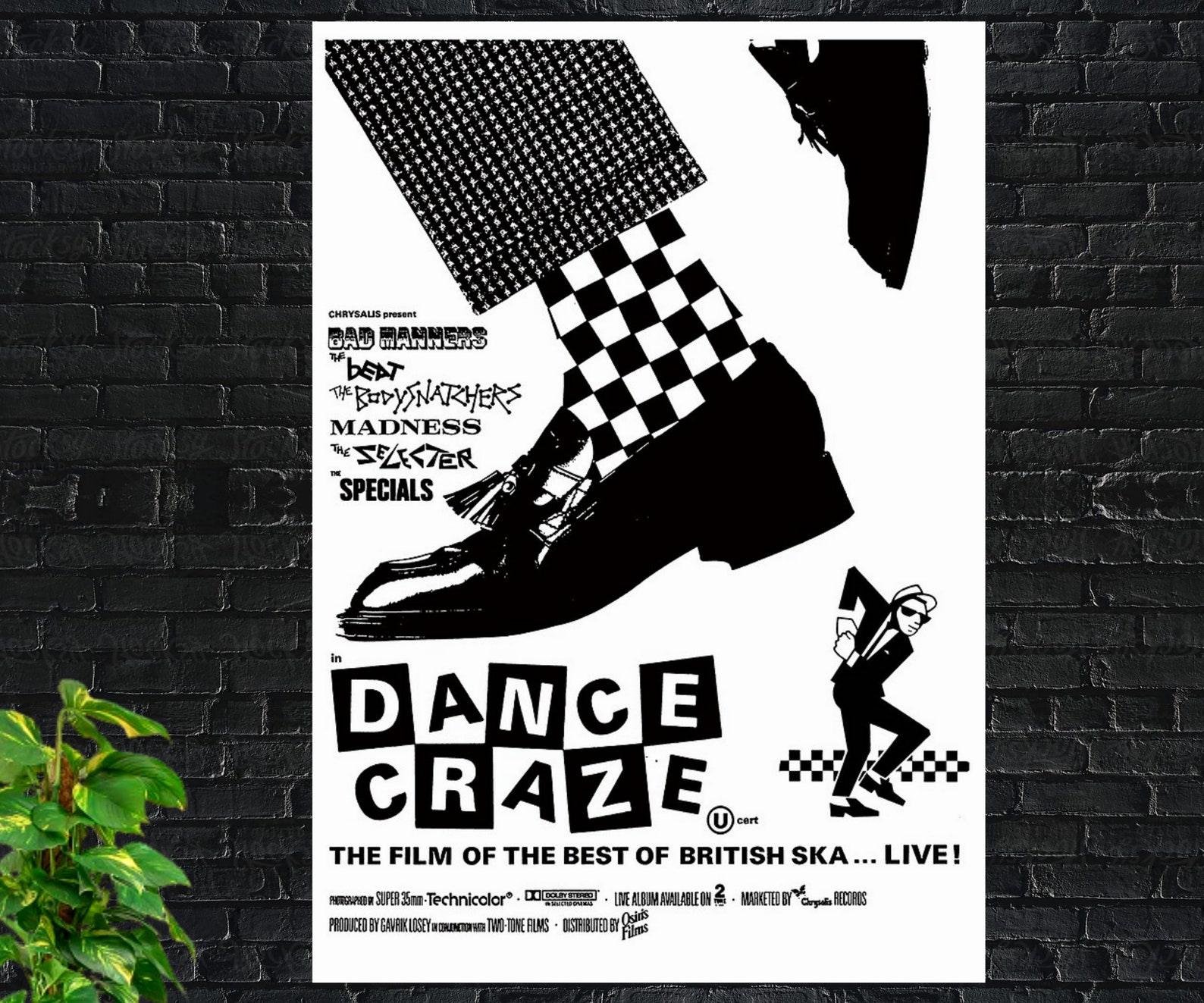Dance Craze 2 Tone Ska 1981 Movie Poster Music The Specials Etsy