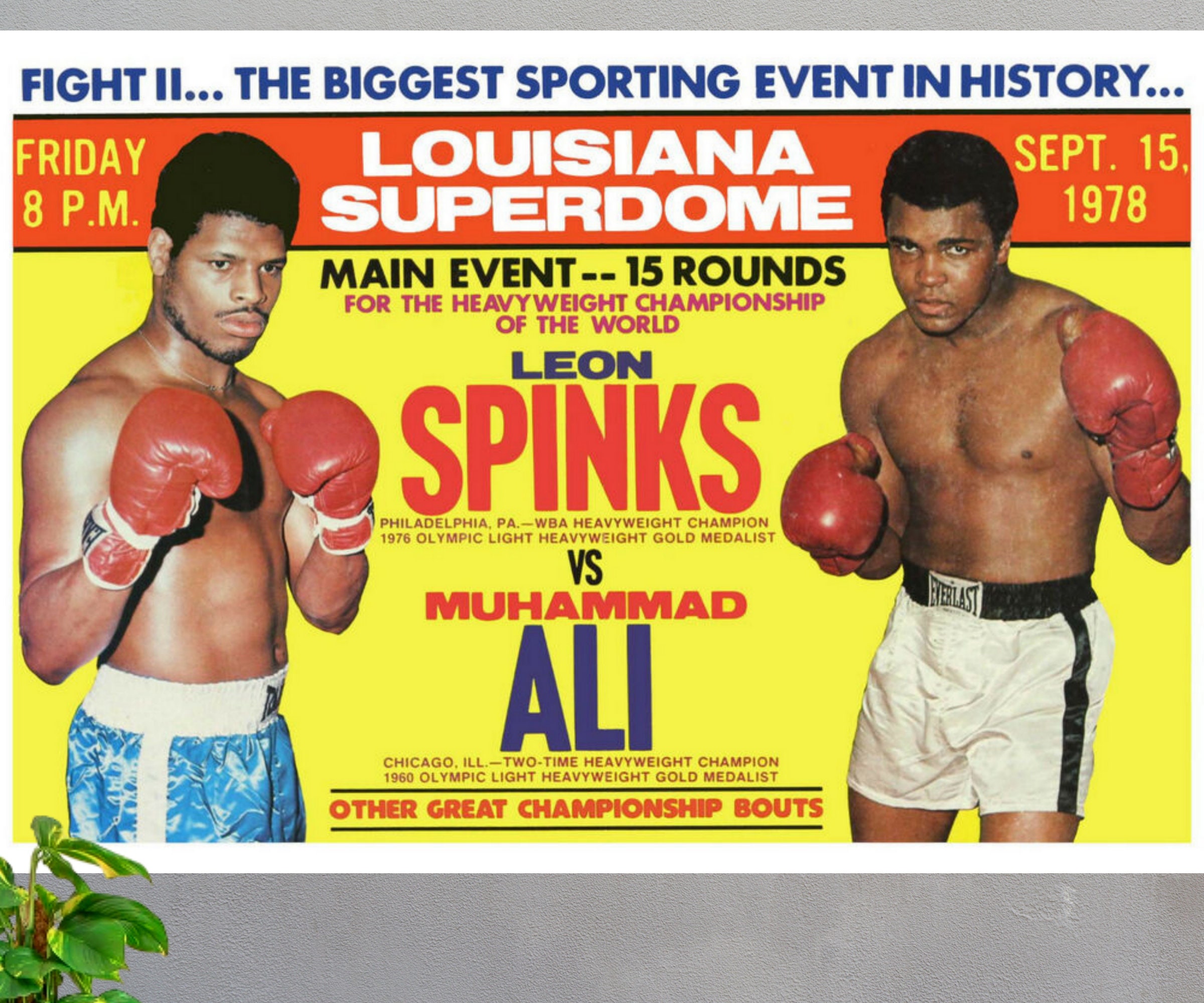 How Many Viewers Watched Spinks Vs Ali Fight? – SECHE