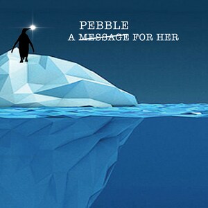 A Pebble For Her