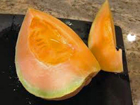 MUSKMELON SEED HEIRLOOM MELLON 500 SEEDS NON GMO ORGANIC EDISTO 47 SWEET MUSKMELON SEED HEIRLOOM MELLON 500 SEEDS NON GMO ORGANIC EDISTO 47 SWEET