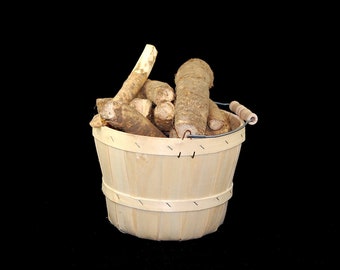 Horseradish Roots Natural ,NON GMO, Gluten Free, Horseradish Roots Natural Ready to Plant or process into a sauce, dip or tonic , etc. Count