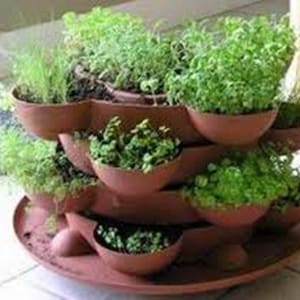 May include: A tiered planter with multiple brown plastic pots, each containing a different type of green plant. The planter is made of brown plastic and has a circular base.
