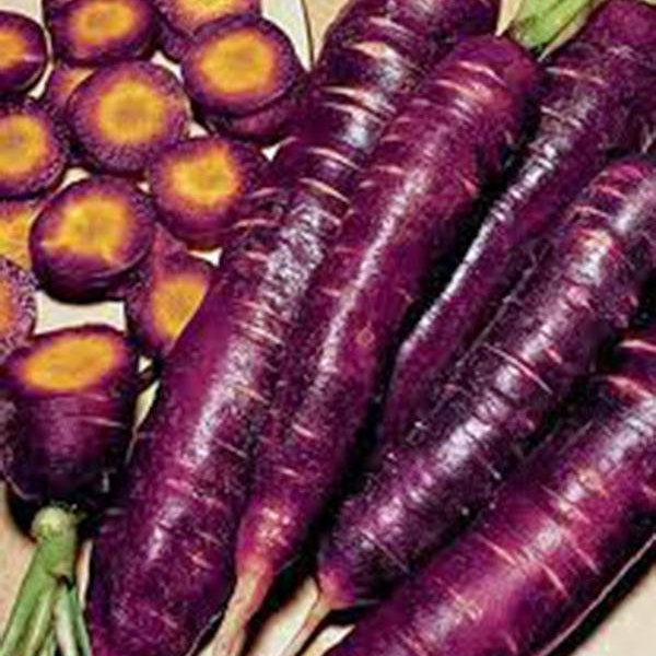 Carrot Seeds, Purple Haze, Hybrid, NON-GMO Seeds, Unusual Delicious and Sweet, Country Creek Acres