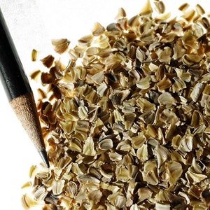 May include: A close-up image of a pile of dried coriander seeds. The seeds are light brown and have a slightly irregular shape. The seeds are scattered on a white surface.